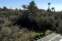 Villa Palmeraie Marrakech Marakeş